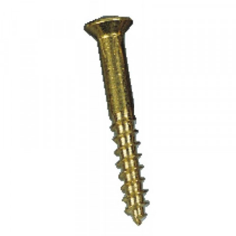 Vis à bois tête fraisée bombée fendue laiton, diamètre 2,5 mm, longueur 20 mm, sachet de 100 vis