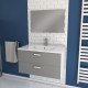 Meuble salle de bain 80 cm monté suspendu h46xl80xp45cm - avec tiroirs, vasque et miroir - box-in 80 - Couleur au choix Gris