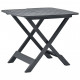 Table pliable de jardin plastique - Couleur au choix Anthracite