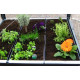 Jardinière pour potager surélevé 