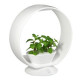 Lampe led ludique avec jardinière intégrée et enceinte bluetooth 
