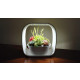Lampe led ludique avec jardinière intégrée 