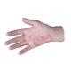 Gants vinyle premium non poudrés - T.S (6/7) - Boite de 100 - CRISTAL HYGIENE - FG1113T6 