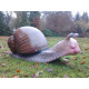 Escargot géant en résine 130 cm 