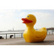 Canard géant en résine 165 cm 