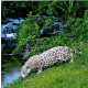 Guépard en résine 133 cm 