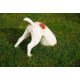 Statuette chien bob le creuseur tâches marrons 