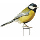 Oiseaux sur pique (lot de 2) 