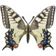 Décoration murale papillon (lot de 2) 