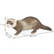 Furet en résine 35 cm 