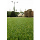 Rouleau de pelouse artificielle 30 mm 