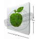 Tableau végétal picto pomme en lichen stabilisé 20cm 