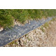 Piquet de schiste ton ardoise 1 m 