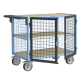 Servante établi équipée 2 portes grillagées verrouillables 500 kg - 880725325 