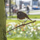 Oiseau à planter rouge gorge en acier corten hauteur 22cm 