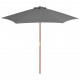 Vidaxl parasol d'extérieur avec mât en bois 270 cm anthracite 