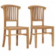 Chaises de jardin 2 pcs bois de teck solide 