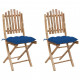 Chaises pliables de jardin 2 pcs avec coussins bambou - Couleur au choix Bleu