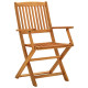 Chaises de jardin pliables 2 pcs bois d'eucalyptus massif 