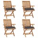 Chaises pliables de jardin avec coussins teck solide - Couleur des coussins et nombre de chaises au choix 