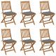 Chaises pliables de jardin avec coussins bois d'acacia - Couleur et nombre de places au choix Gris