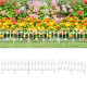 Bordures de pelouse 17 pcs - 10 m pp - Couleur au choix Blanc