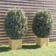 Jardinières d'extérieur 2 pcs 40x40x40 cm bois de pin massif - Couleur au choix Pin