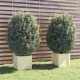 Jardinières d'extérieur 2 pcs 40x40x40 cm bois de pin massif - Couleur au choix Blanc