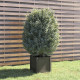 Jardinière d’extérieur 40x40x40 cm bois de pin massif - Couleur au choix Gris