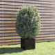 Jardinière d’extérieur 40x40x40 cm bois de pin massif - Couleur au choix Noir