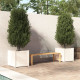 Jardinières 2 pcs 60x60x60 cm bois de pin massif - Couleur au choix Blanc