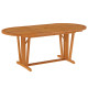 Table de jardin 200x100x75 cm bois d'eucalyptus solide 