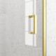 Porte de douche pivotante 80x200cm - profilés or doré brossé - verre trempé 6mm - goldy crush Aurlane - FAC955 