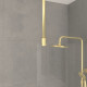 Paroi de douche 80x200cm verre 8mm - profilé + barre plafond finition or brossé - freedom 2 gold 