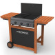 Barbecue a gaz grill et plancha campingaz adelaide 3 woody l piezo 14 kw duo grill plancha housse offerte 