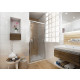 Porte de douche ancoswing pivotante, verre sécurité 5mm - Dimensions et couleur au choix Argent
