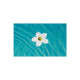 Fleur absorbante de corps gras water lily mareva pour piscine - 672003 