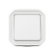 Interrupteur ou va-et-vient 10ax 250v plexo complet saillie blanc (069751l) 