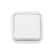 Interrupteur ou va-et-vient lumineux 10ax 250v plexo composable blanc (069613l) 