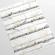 Papier peint forêt de bouleaux noir et blanc - BETULLE++ 
