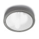 Plafonnier e27 basic, polycarbonate, gris, 26 cm 