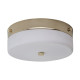 Plafonnier tamar, 23.5 cm, or poli, verre opale, led, ip44 