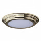 Plafonnier welland, laiton poli, verre opale, module led, ip44 