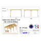 Abri toit plat, 450cmx450cm, bois douglas francais, carport, auvent, abri voiture, cpbf-vtp450x450 