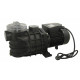 Pompe pour piscine 2500 w 
