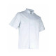 Veste LMA AUBERGINE blanc T.L - 2175 T.4 