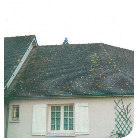 Démoussant curatif/préventif dimousse mur-façade-toiture-20l