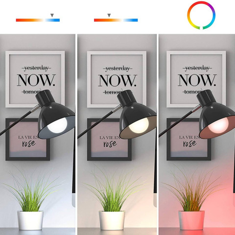 Home light ampoule connectée google home et alexa avec variation de couleurs - avidsen