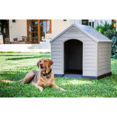 Niche pour chien étanche