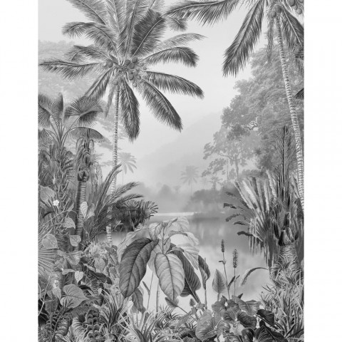 Papier peint photo lac tropical black & white 200x270 cm